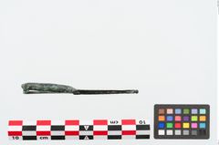 Foto von Bronzekahnfibel (NHMW-PRAE-024960)